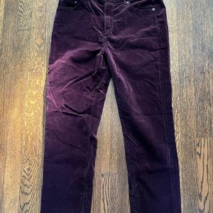 New with tags!  Size 30 citizens of humanity velvet pants in burgundy